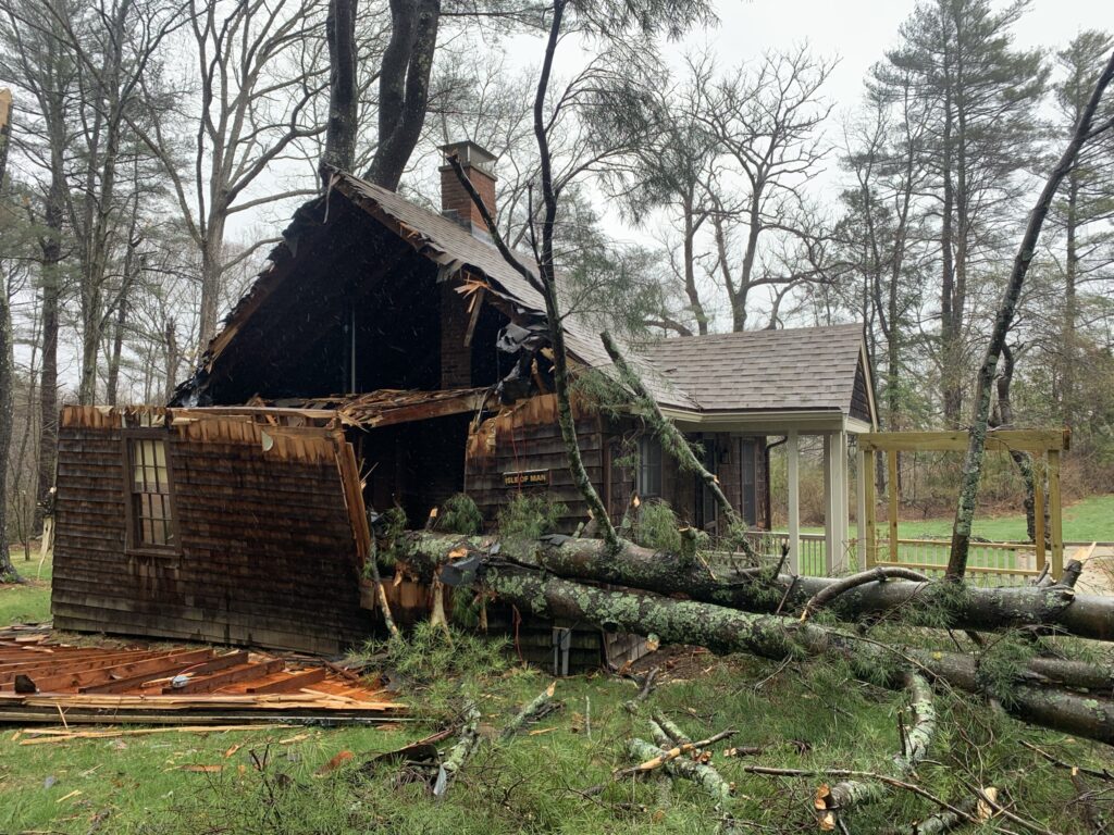 Fallen tree damaged side of cabin