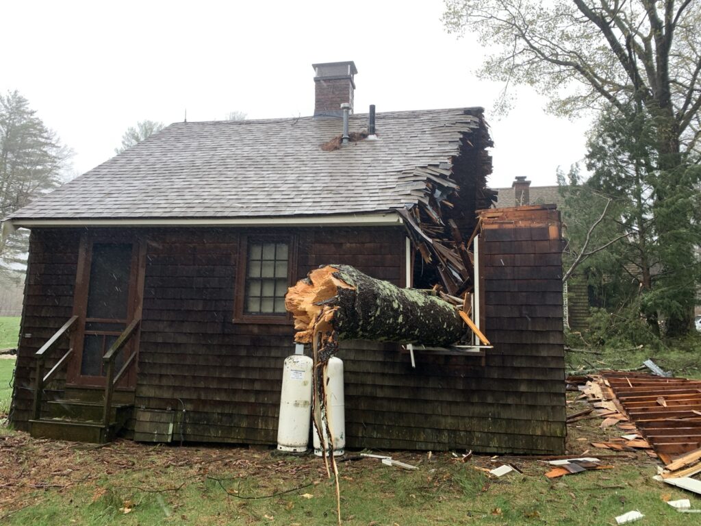 Tree fell through the window
