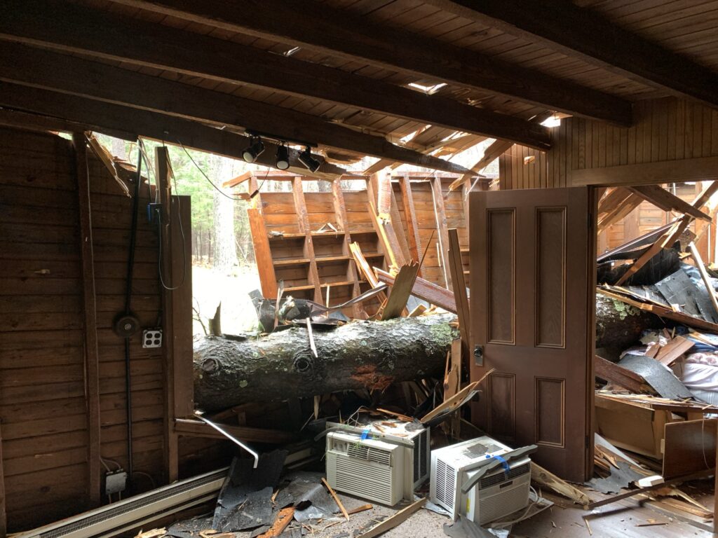 Trunk of tree laying inside of damaged house